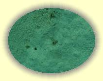 IMG_2007_05_29 16_16_19 * 2093 x 1567 * (821KB)